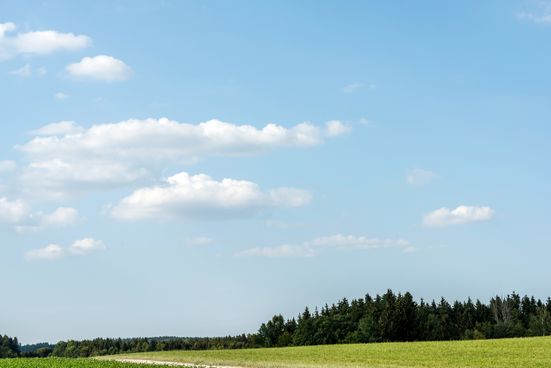 Blick in den Himmel