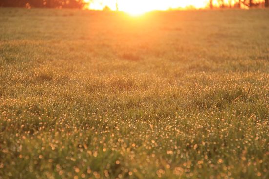 Sonnenaufgang